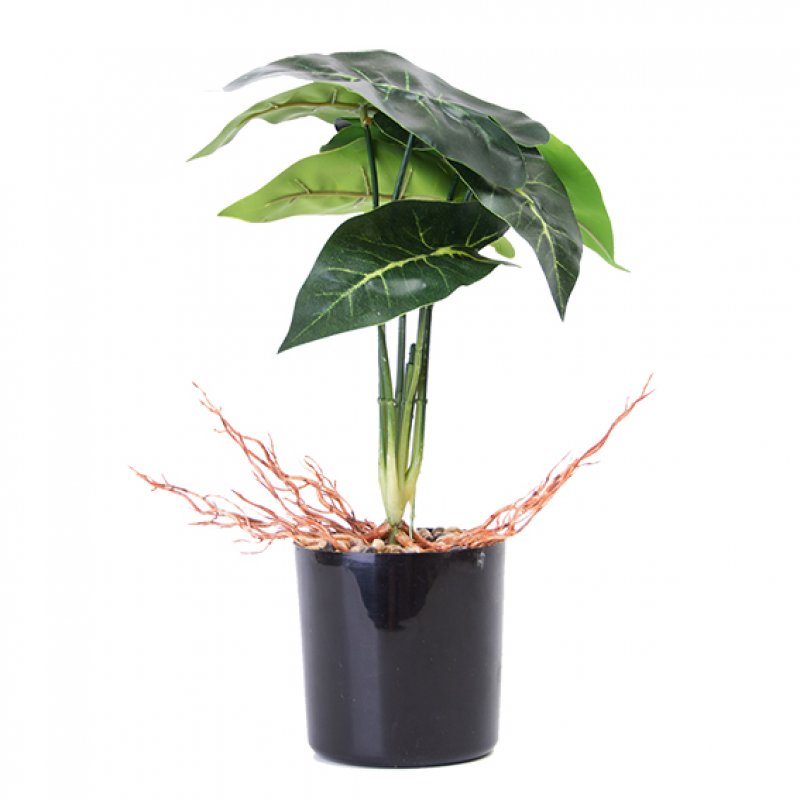 PLANTA CON MACETA PLASTICA 33CM JM231013/ A534004 LAÑ