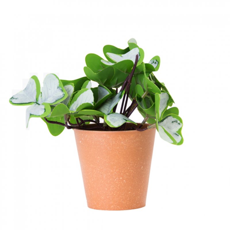 PLANTA CON MACETA PLASTICA 18CM ART JM231007 / A534002 LAÑ