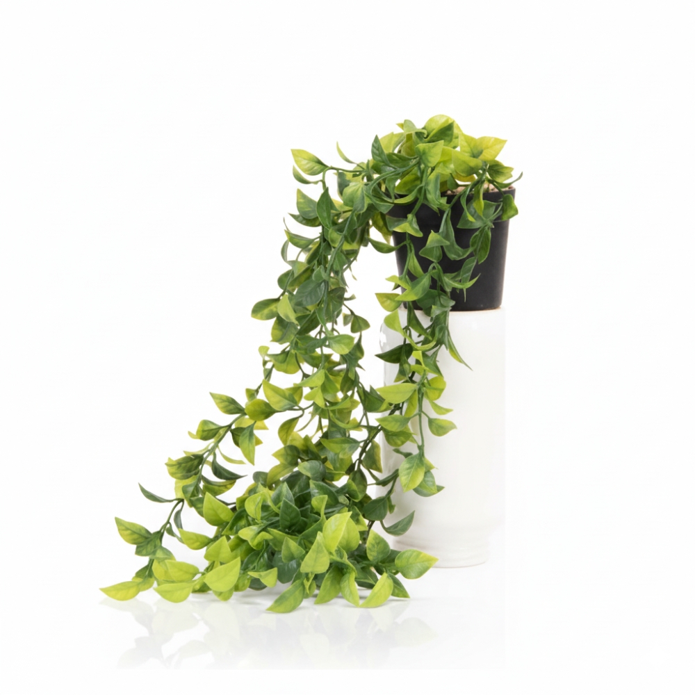 PLANTA COLGANTE 49CM ART JM241424 LAÑ