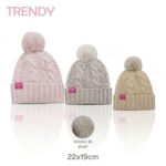 GORRO TRENDY TRENZADO COMB C/POMPON ART 16904 DAO