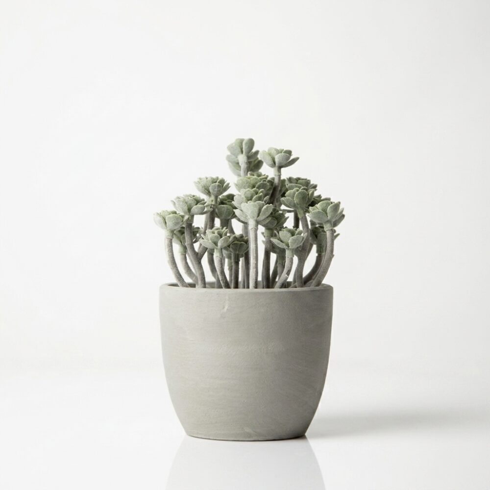 SUCULENTA C/MACETA SIMIL CEMENTO 15CM ART HAC7154 EAO
