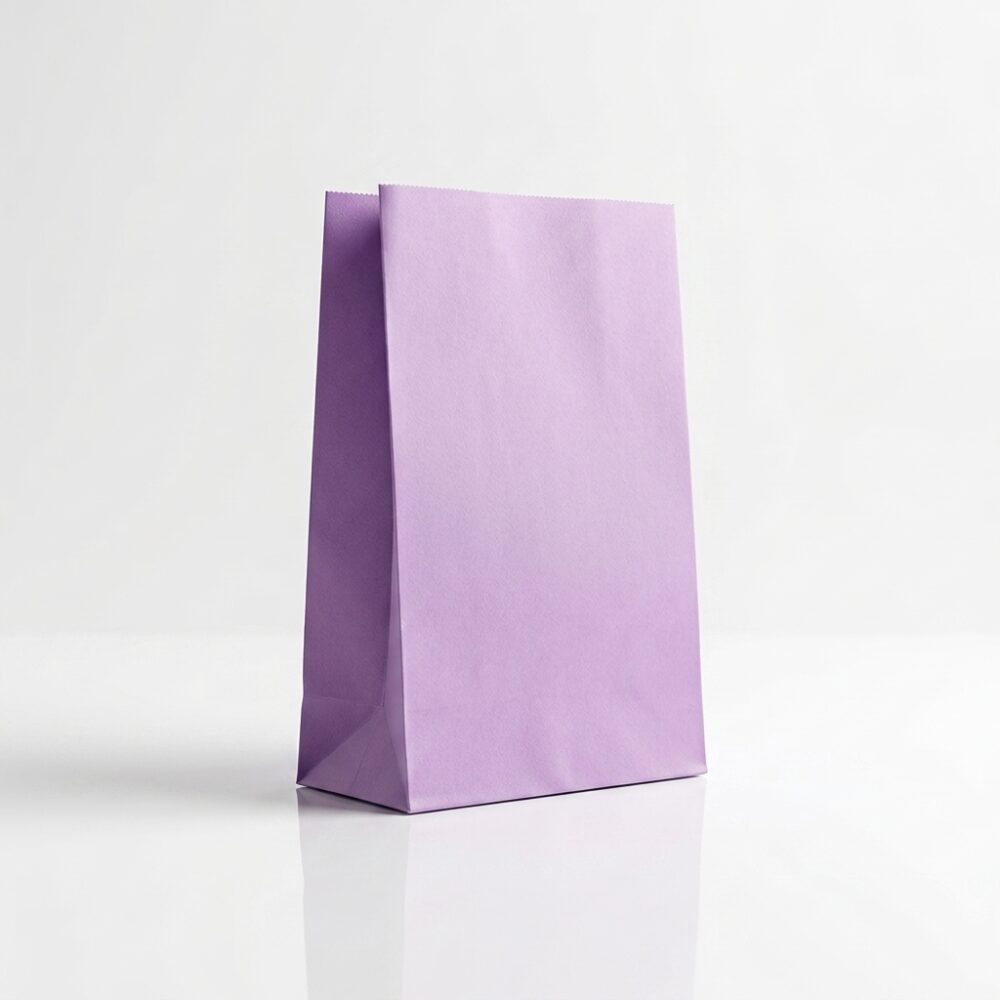 BOLSA LILA X1UNI 12.5X7X24.5CM ART BC12LI HAO