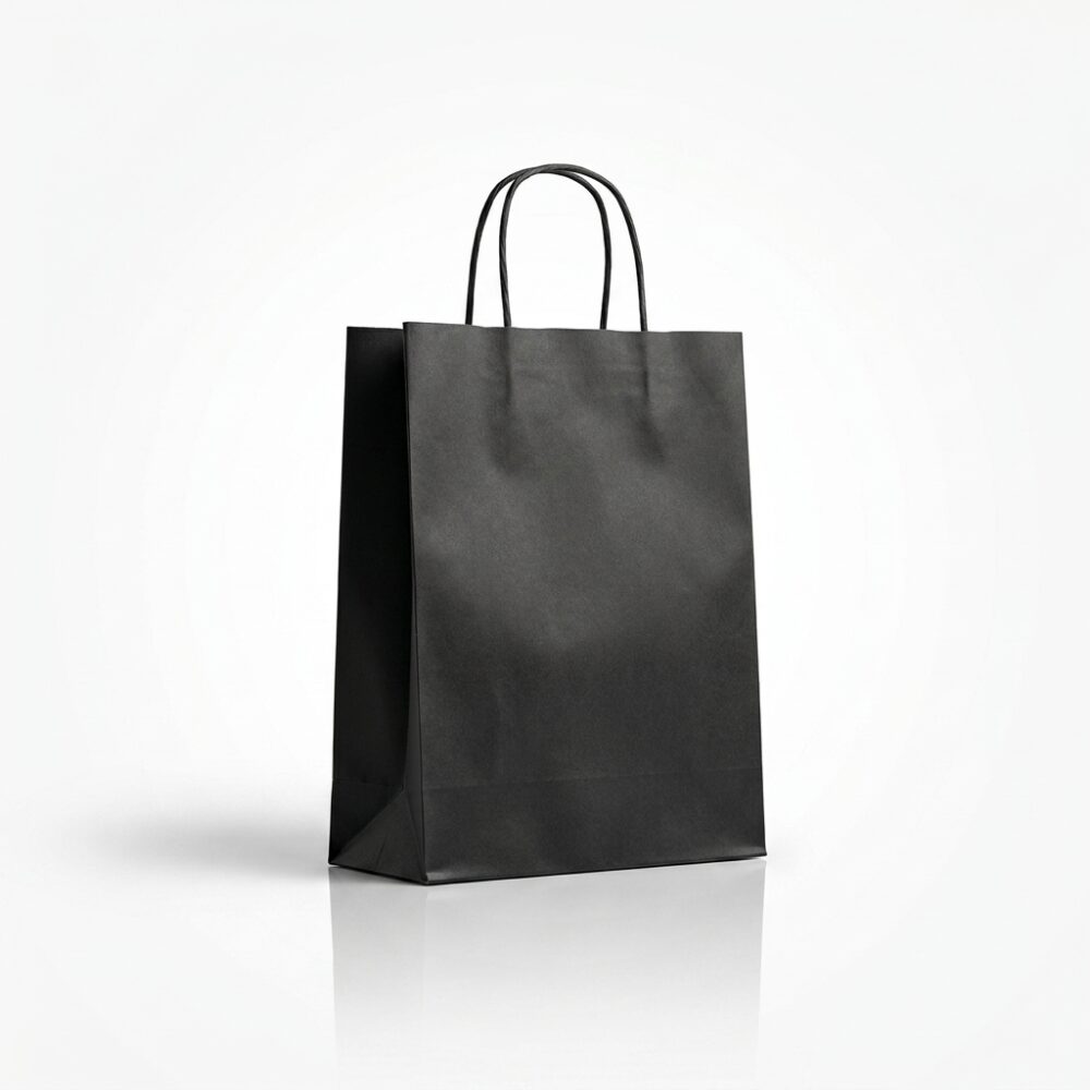 BOLSA LISA NEGRA 22X10X30 HAO