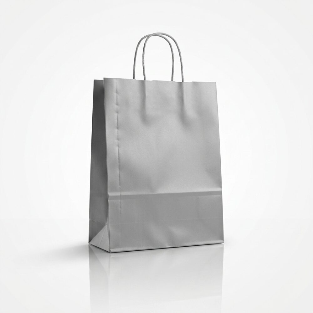 BOLSA AUTOMATICA PLATA ZAFIRO 22x10x30CM ART BC221030PL GAO