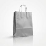 BOLSA AUTOMATICA PLATA ZAFIRO 22x10x30CM ART BC221030PL GAO