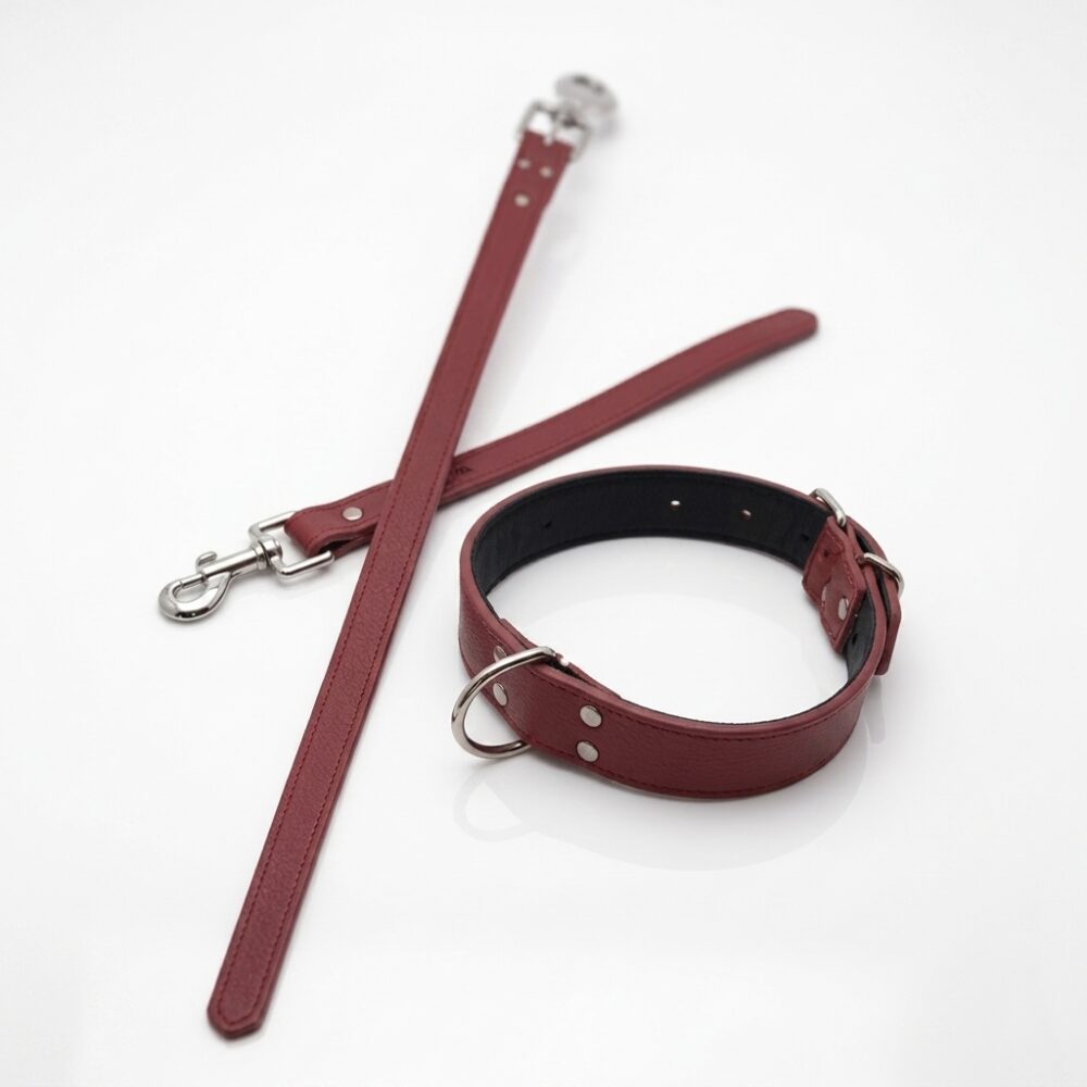 COLLAR DE PERRO ART PP1672 IAO