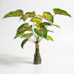 PLANTA ART DA-6206 JAO
