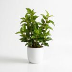 PLANTA VERDE 47CM SIN MACETA ART ES-01 JAO